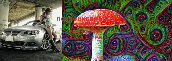 шишки Абдулино