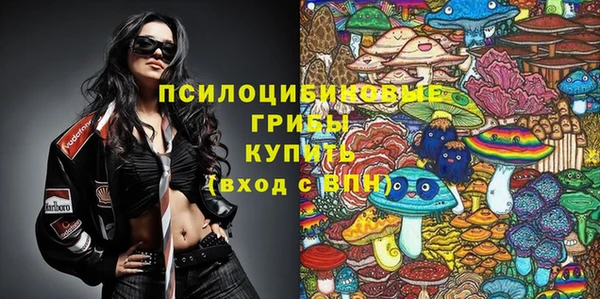 шишки Абдулино