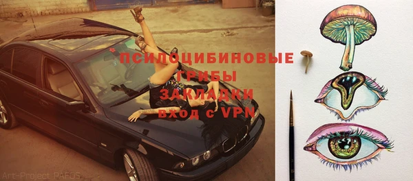 шишки Абдулино